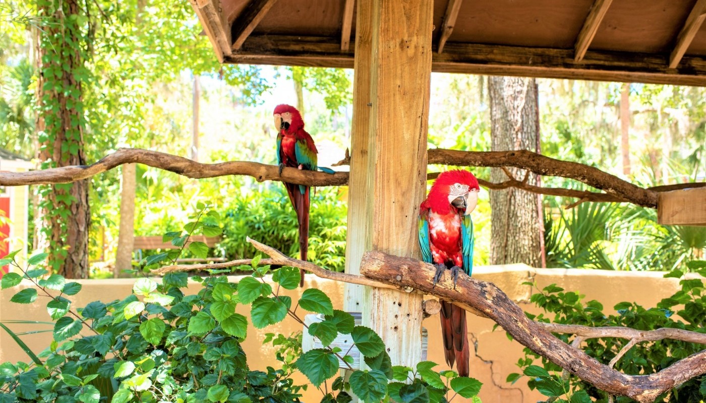 The Central Florida Zoo is Open and Welcoming Fun-Seekers of All Ages
