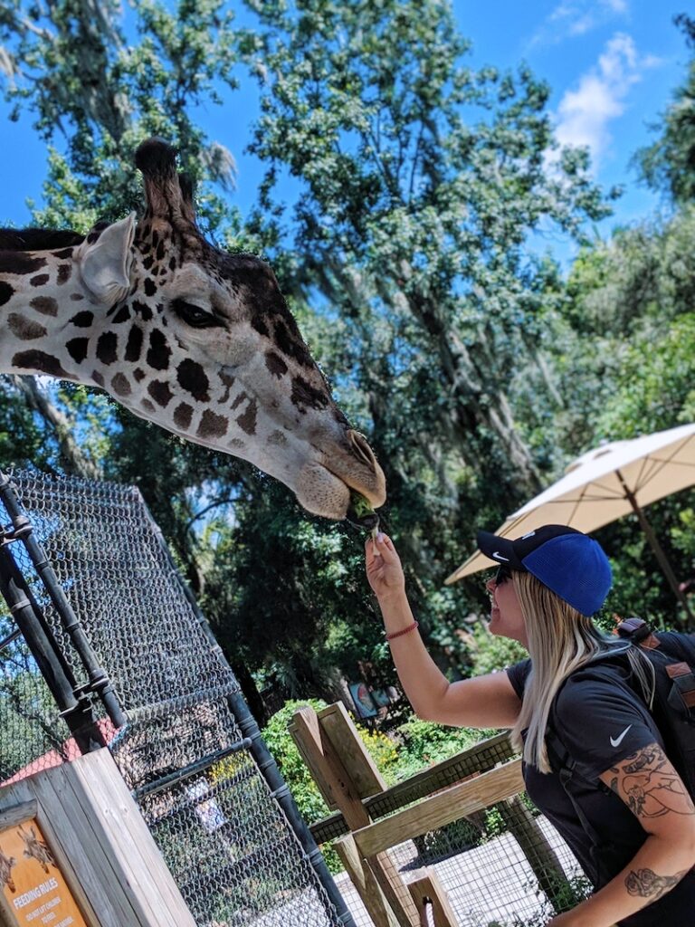 15 Best Things to Do in Seminole County SCVB Do Orlando North