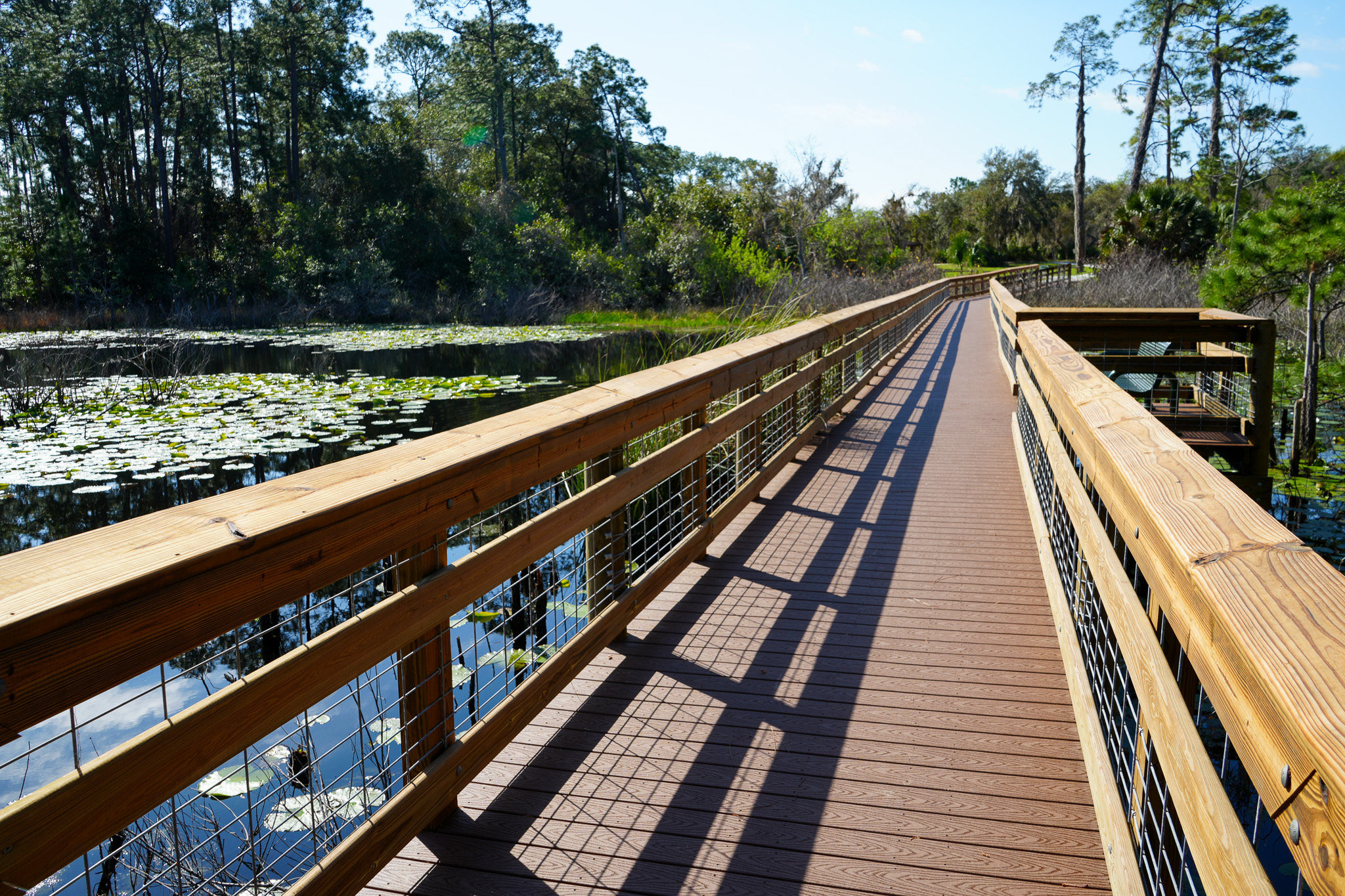 The Best Outdoor and Water Activities Near Orlando