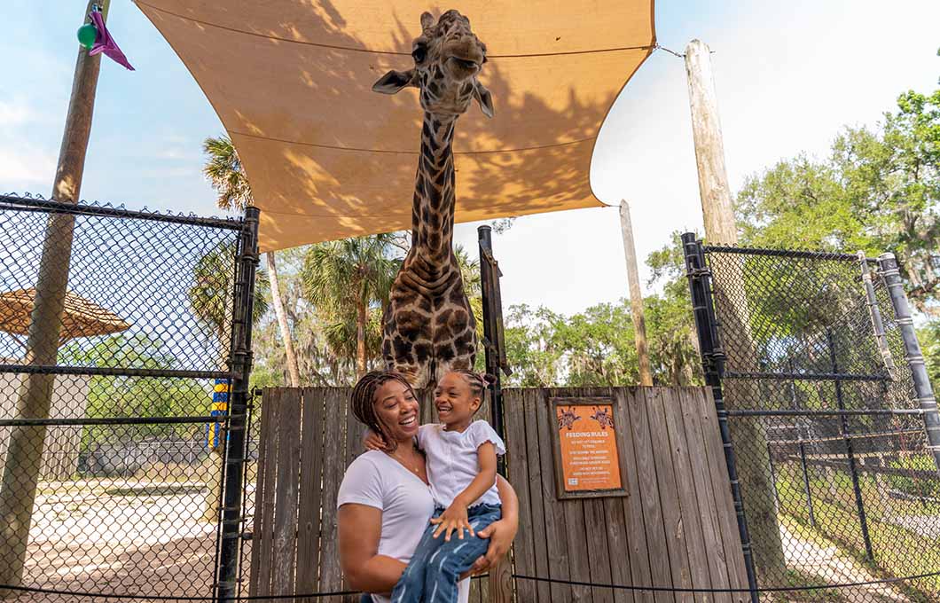 Best Group Activities & Experiences Near Orlando