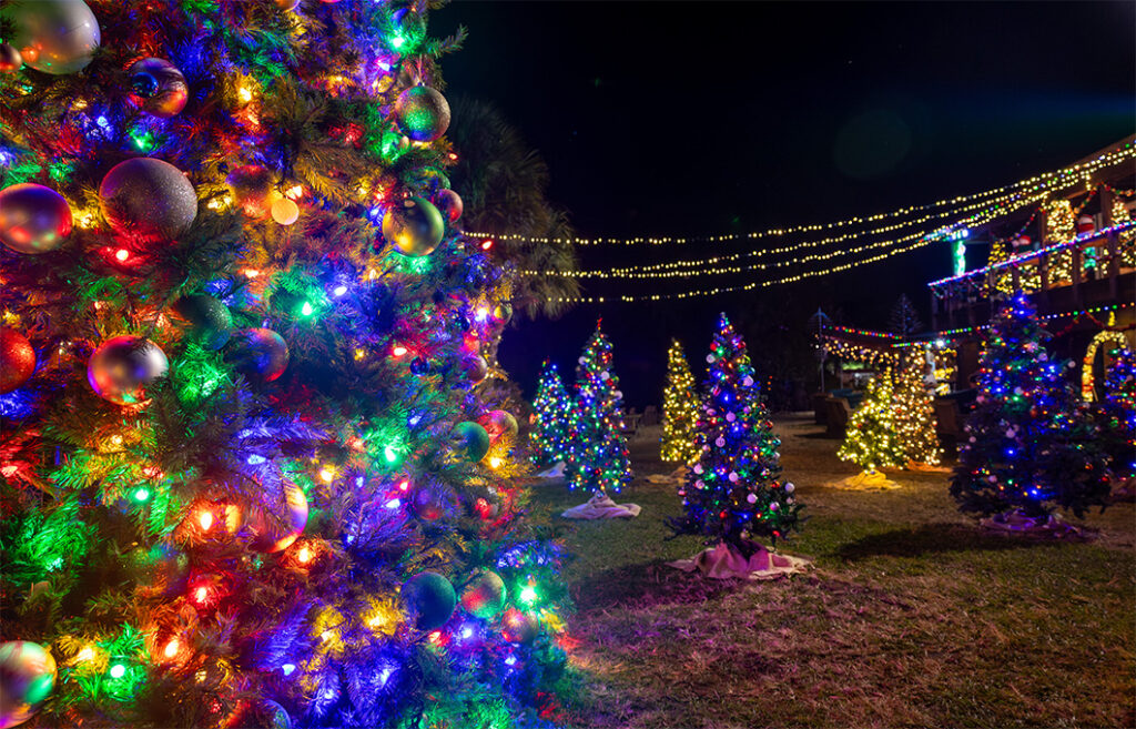 Unique Holiday Experiences in Orlando North 2025