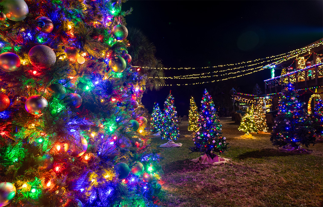 Unique Holiday Experiences in Orlando North 2025