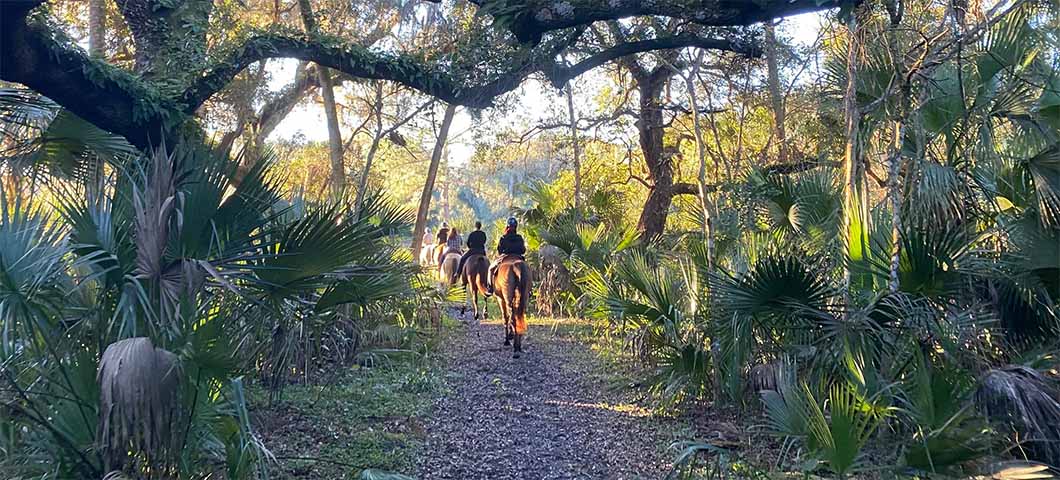 The Best Date Night Ideas in Orlando North for February 2026