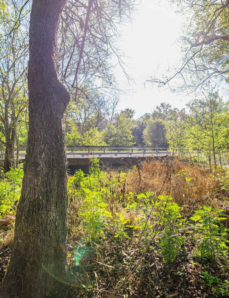 The Seminole County Spring Break Guide for 2026