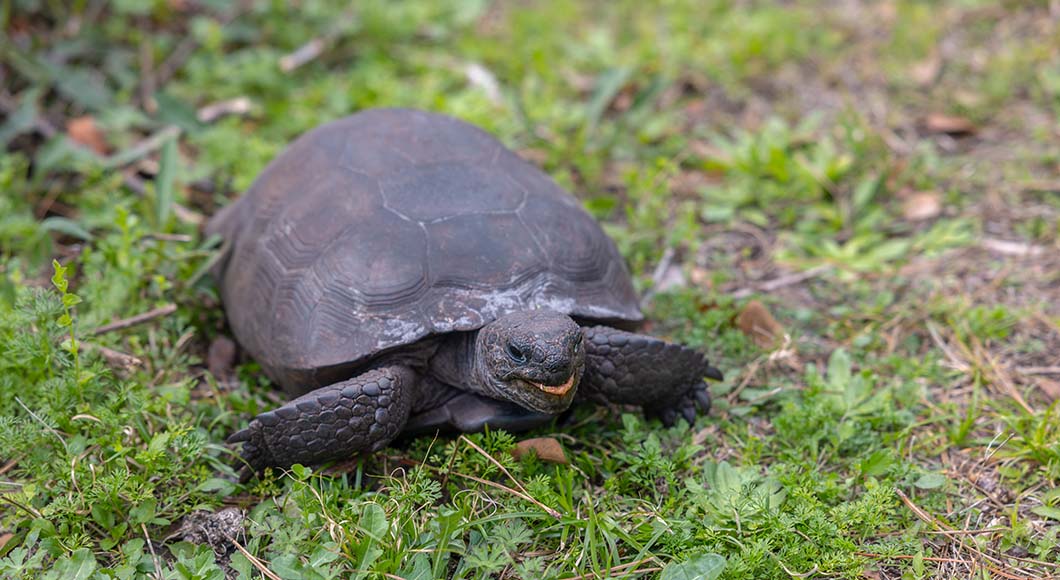 The Seminole County Spring Break Guide for 2026