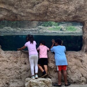 Three kids stand on a small rock platform, peering through a rectangular opening in a rocky wall toward a water-filled cave beyond.