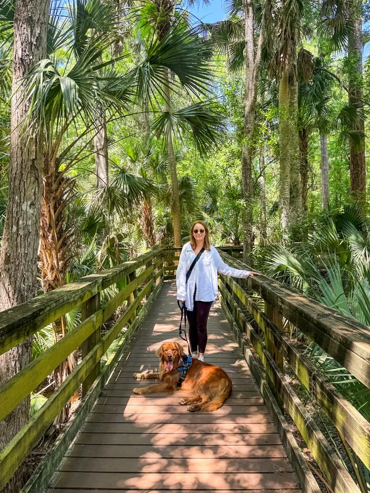 Woman walking a brown dog on a wooden boardwalk through a palm-filled jungle. She wears a white shirt and sunglasses, leash in hand.