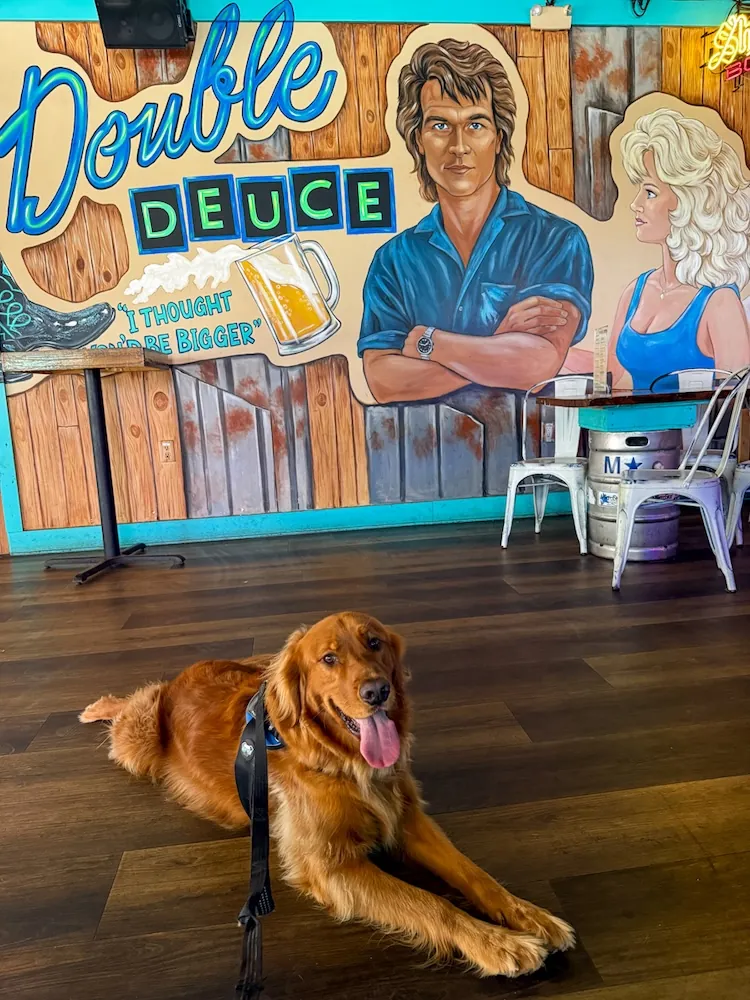Golden retriever on a leash lying on a dark wood floor in front of a colorful bar mural reading 'Double Deuce' with two illustrated people.