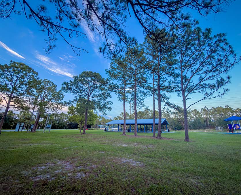 20 Shaded Playgrounds Near Orlando
