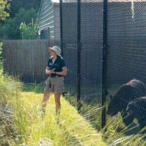 Zoo keeper in hat and uniform stands beside a tall chain-link fence, speaking to visitors near an animal enclosure.