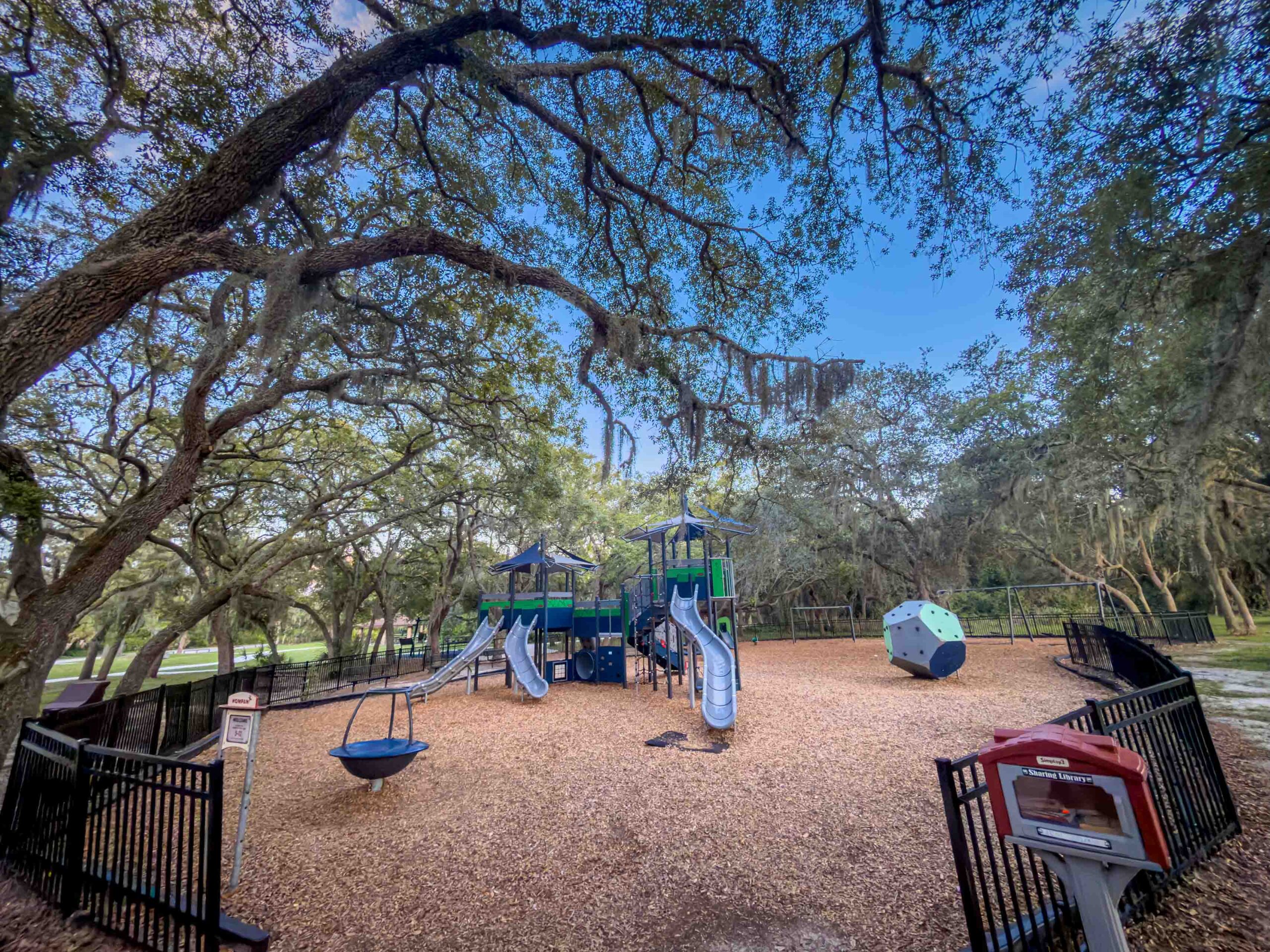 Playground equipment with blue slides and climbing structures under overhanging trees on a sunny day in the park
