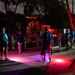 People lined up outdoors at night, colorful lights cast pink and purple on the pavement outside a building.